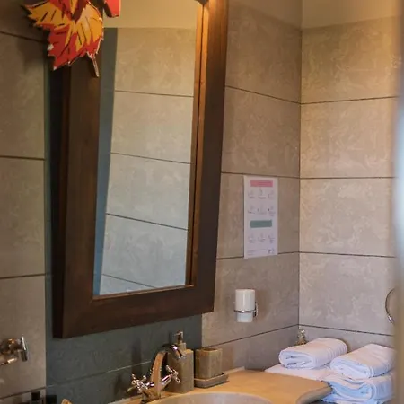 Guest house Vathyskia *