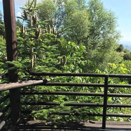 βαθύσκια Πανσιόν