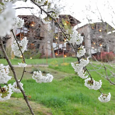 Vathyskia Гостевой дом 4*