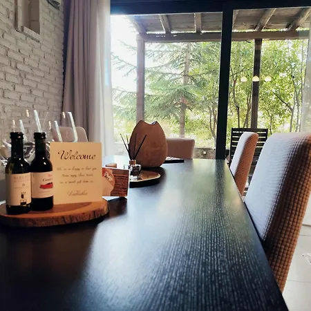 Vathyskia Pensionat 4*