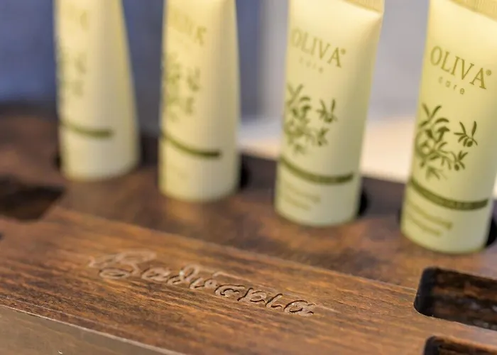 Vathyskia ゲストハウス